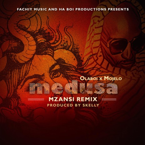 Medusa Mzanzi Remix (with Ola Boi) | Boomplay Music