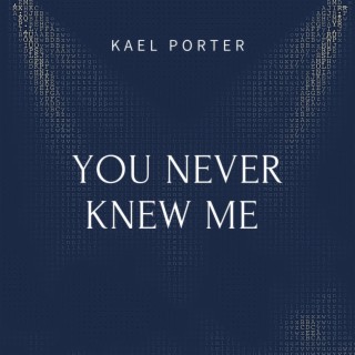 YOU NEVER KNEW ME