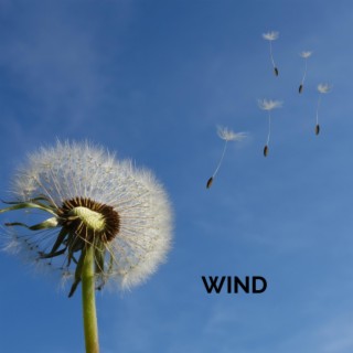 Download Starblast album songs: wind