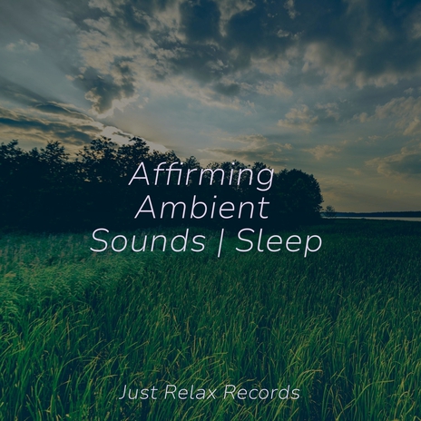 Enchanted Hush of Silence ft. Sleepy Night Music & Naturaleza Sonidos | Boomplay Music