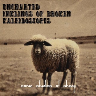 Uncharted Inklings of Broken Kaleidoscopes Volume 2 (Sonic Studies of Sheep)