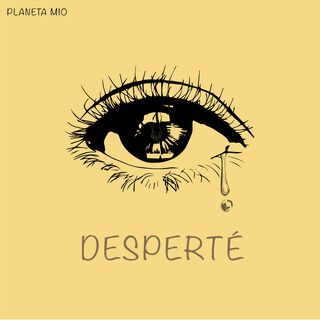 Desperté