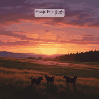 Music For Dogs