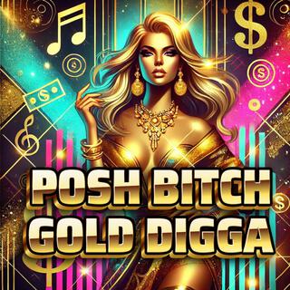 Posh Bitch, Gold Digga lyrics | Boomplay Music