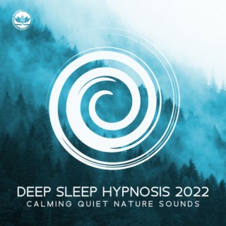 Deep Sleep Hypnosis 2022: Calming Quiet Nature Sounds, TherapyHealing Sleep Songs, Soothing and Relaxing Ocean Waves, White Noise, Insomnia Cure