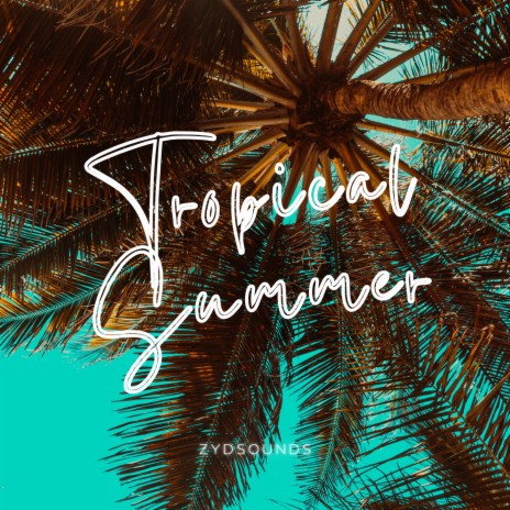 Tropical Summer | Boomplay Music