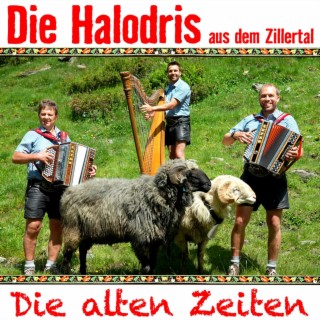 Die Halodris aus dem Zillertal