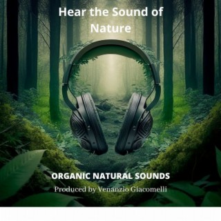 Hear the Sound of Nature