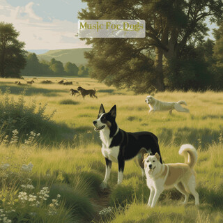 Music For Dogs