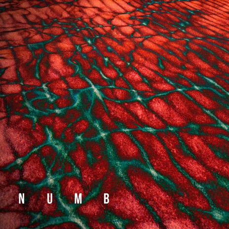 NUMB | Boomplay Music