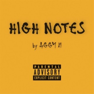 High Notes lyrics | Boomplay Music