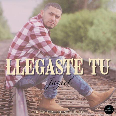 Llegaste Tu | Boomplay Music