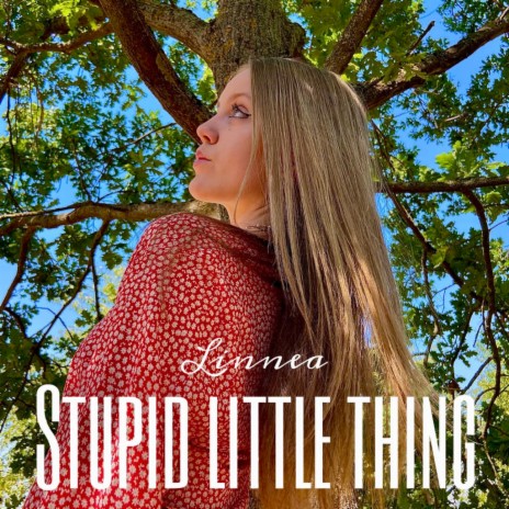 Stupid Little Thing | Boomplay Music