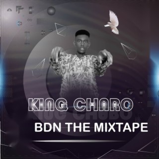 BDN The Mixtape
