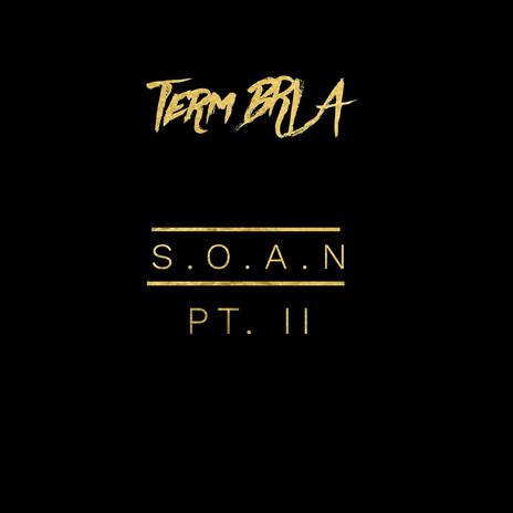 S.O.A.N Pt.II (Shit On All You Niggaz) | Boomplay Music