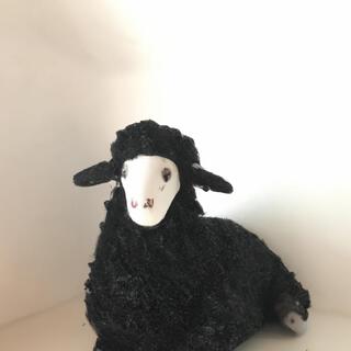 blacksheep