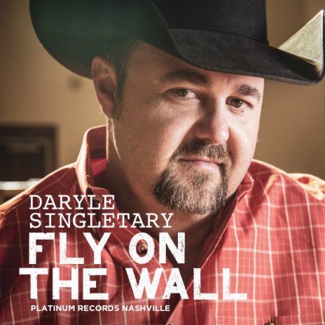 Fly on the Wall | Boomplay Music