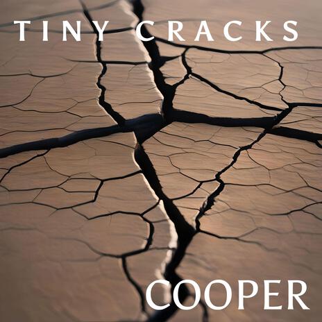 TINY CRACKS (NAKED) | Boomplay Music