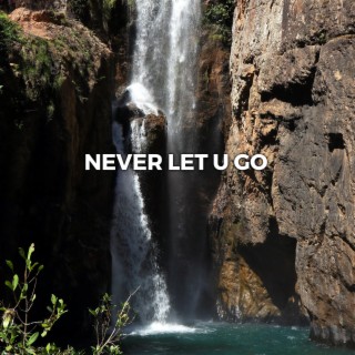 Never Let U Go