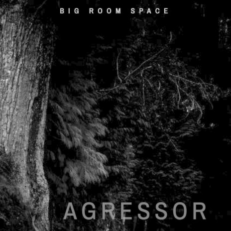 Agressor