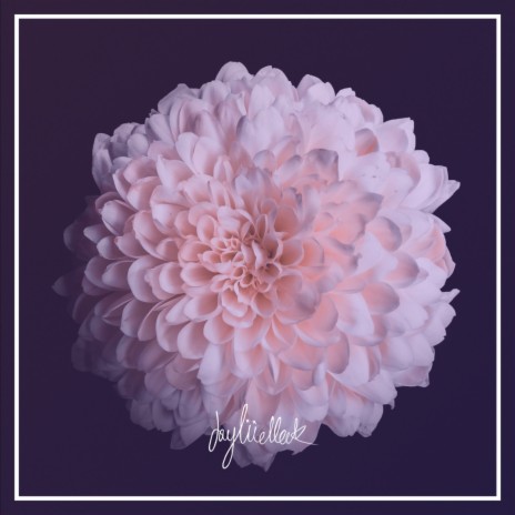 Bloom | Boomplay Music