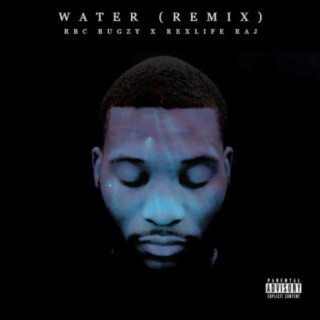 Water (feat. Rexx Life Raj)