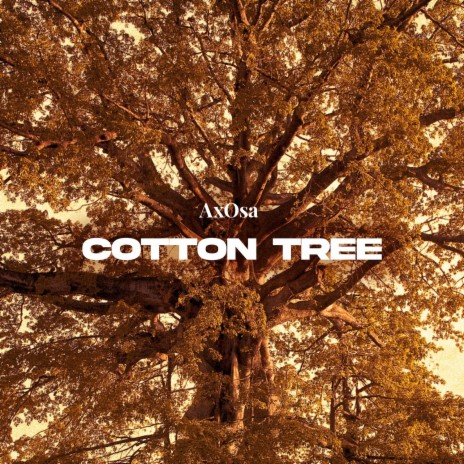 Cotton Tree ft. Dinv | Boomplay Music