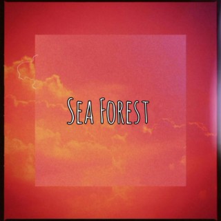 Sea Forest