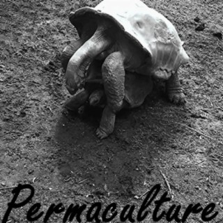 Permaculture