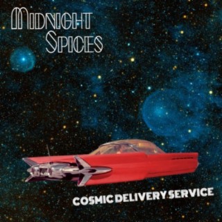 Cosmic Delivery Service