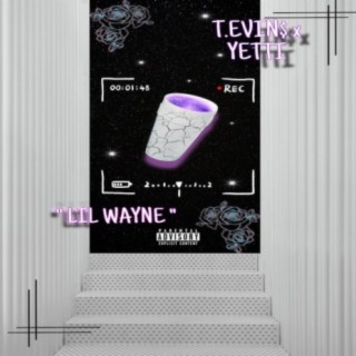 T. Evin$