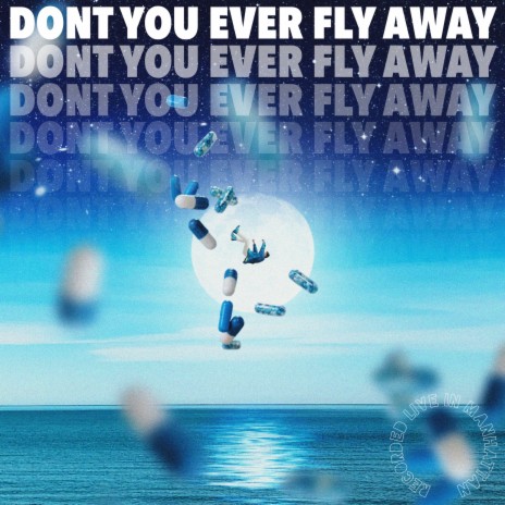 Don't You Ever Fly Away | Boomplay Music