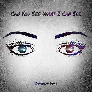 Can You See What I Can See