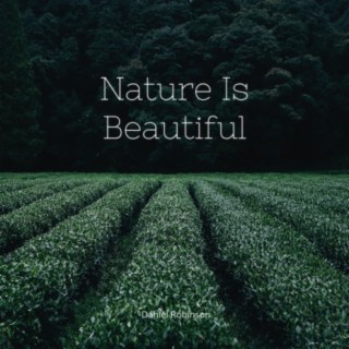 Nature Is Beautiful