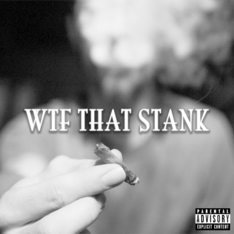 WTF That Stank ft. Love Lucci