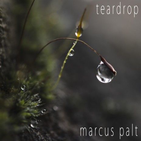 Teardrop