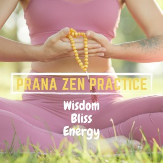 Prana Zen Practice: Wisdom, Bliss, Energy