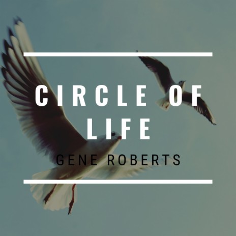 Circle of Life | Boomplay Music