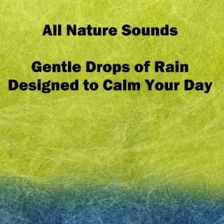 Gentle Drops of Rain Designed to Calm Your Day