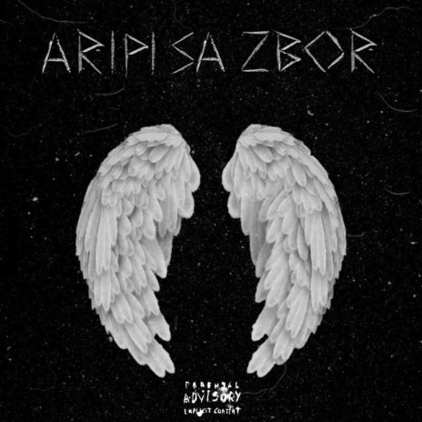 Aripi Sa Zbor ft. STEEFIC