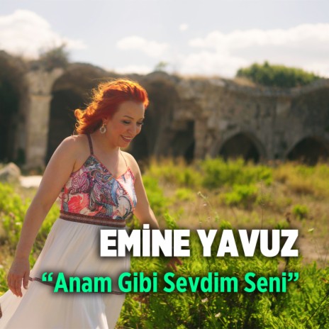 Anam Gibi Sevdim Seni | Boomplay Music