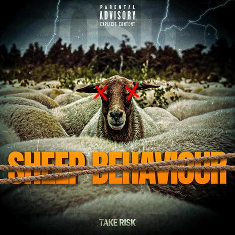 Sheep Behaviour | Boomplay Music