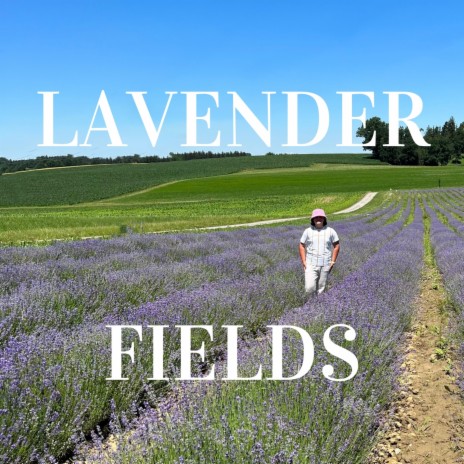 Lavender Fields | Boomplay Music