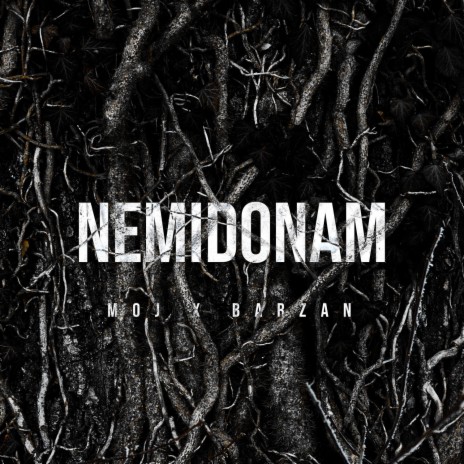 NEMIDONAM ft. Hosein Moj | Boomplay Music