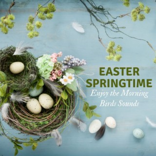 Easter Springtime - Enjoy the Morning Birds Sounds