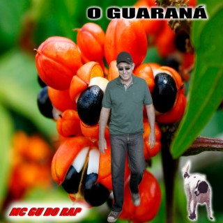 O GUARANÁ