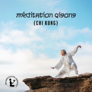 Méditation qigong (Chi Kung): Le système de guérison dans la médecine traditionnelle chinoise, L'énergie vitale,Aapprendre à reconnaître et à exploiter cette énergie corporelle