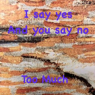 I Say Yes And You Say No