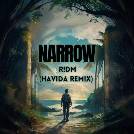 Narrow (Havida Remix) | Boomplay Music