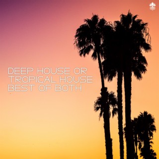 Deep House or Tropical House | Best of Both